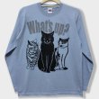 画像7: 猫あるあるTシャツ「What’s up?」長袖 (7)