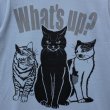 画像5: 猫あるあるTシャツ「What’s up?」長袖 (5)